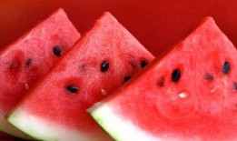 52每日大瓜视频 今日吃瓜热门大瓜必看大瓜网红,热门大瓜必看，网红动态一网打尽